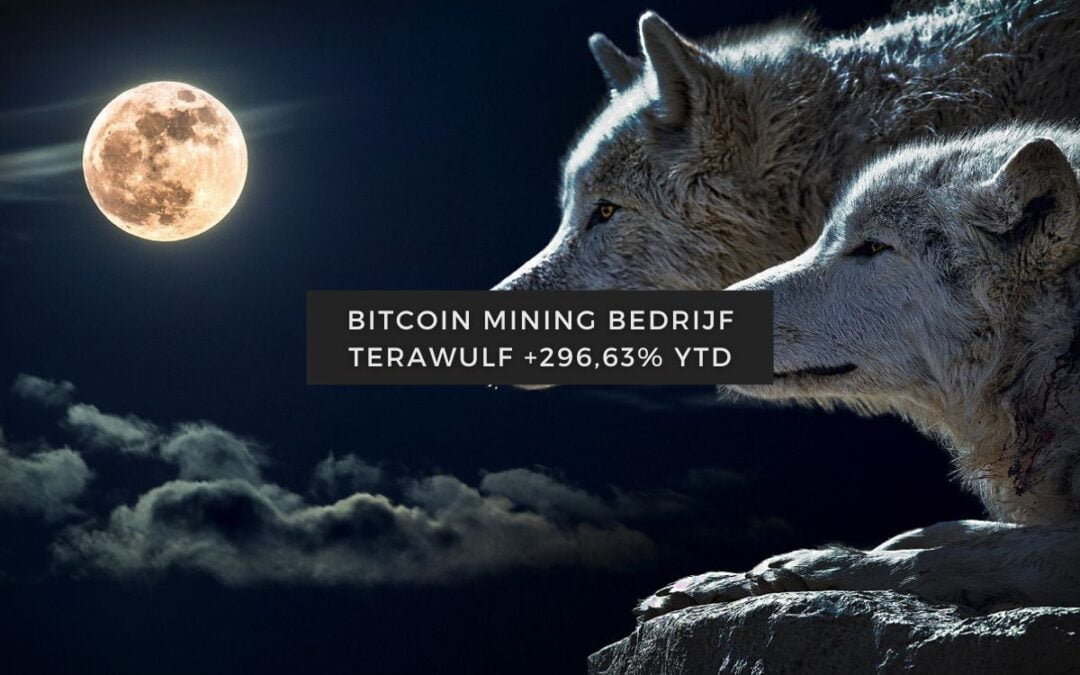 Artikelen over aandelen 45 Bitcoin mining bedrijf Terawulf