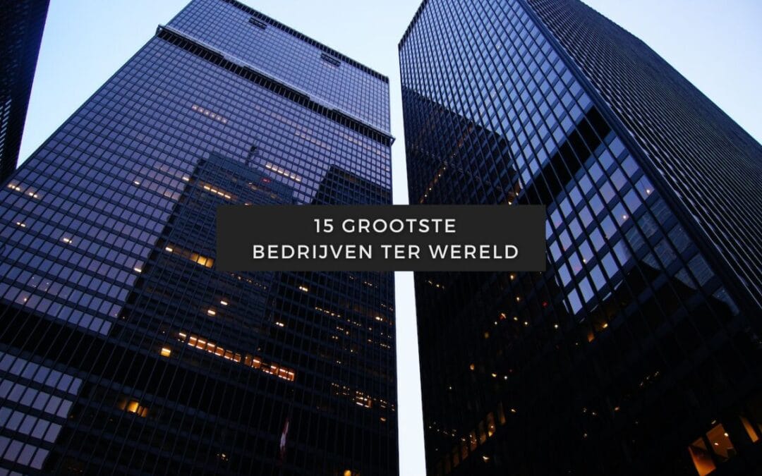 Artikelen over aandelen 22 Grootste bedrijven ter wereld