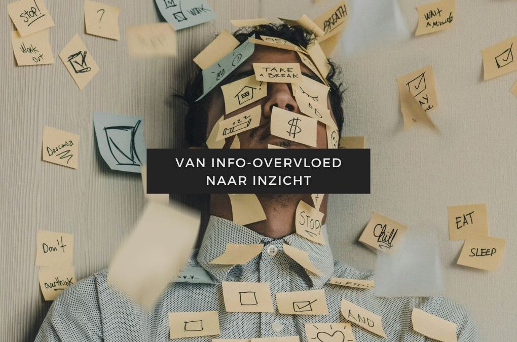 Blogartikelen 17 Van info-overvloed naar inzicht