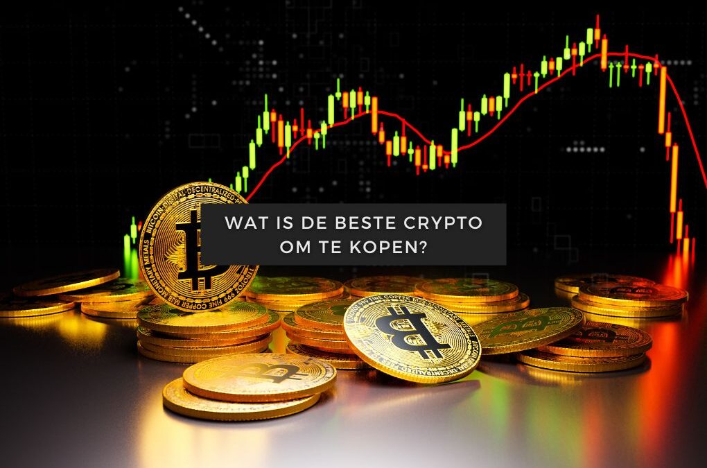 Wat is de beste crypto om te kopen?
